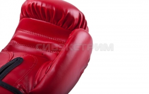 Боксерские перчатки Alpha Caprice RBG-100 Dx Red