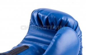 Боксерские перчатки RBG-102 Dx Blue