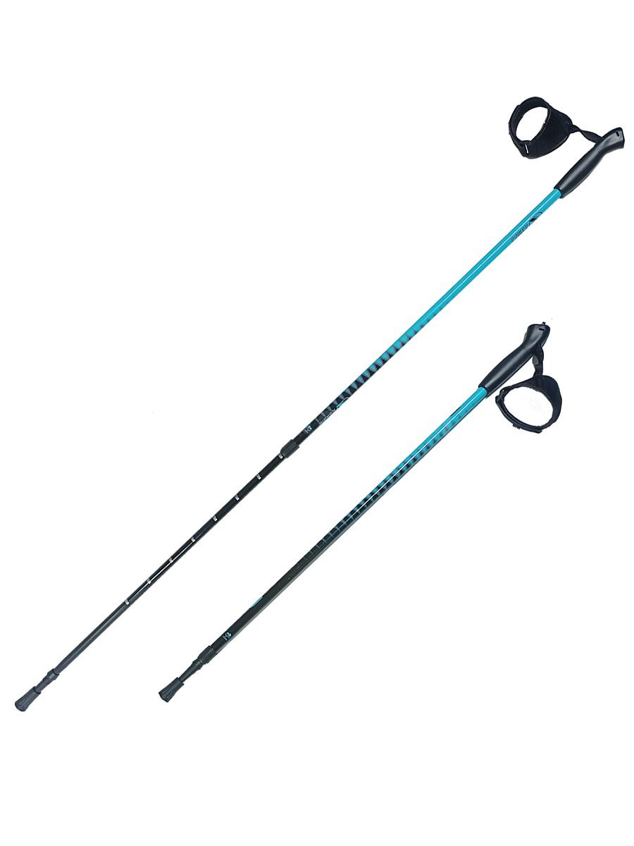 Палки для скандинавской ходьбы NWS-101 blue